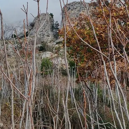 Feriehus Casa Malinas Omiš